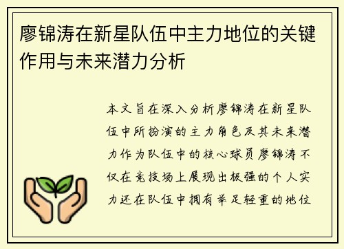 廖锦涛在新星队伍中主力地位的关键作用与未来潜力分析