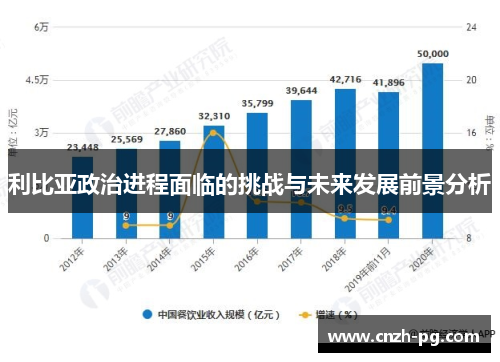 利比亚政治进程面临的挑战与未来发展前景分析