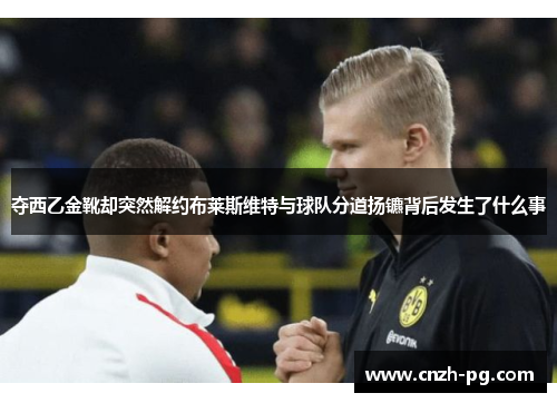 夺西乙金靴却突然解约布莱斯维特与球队分道扬镳背后发生了什么事